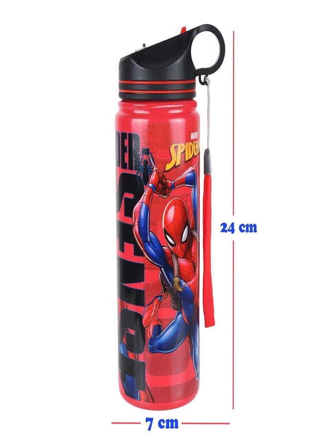 Comiclyfe Spider-Man Double Wall Stainless Steel Water Bottle with Straw – 500ml Insulated, Leak-Proof Flip Top Sipper | BPA-Free, Unbreakable Bottle for Kids & Adults - Image 2