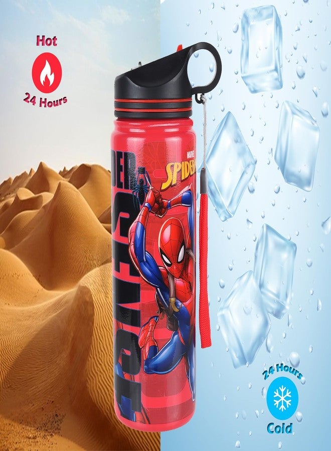 Comiclyfe Spider-Man Double Wall Stainless Steel Water Bottle with Straw – 500ml Insulated, Leak-Proof Flip Top Sipper | BPA-Free, Unbreakable Bottle for Kids & Adults - Image 3