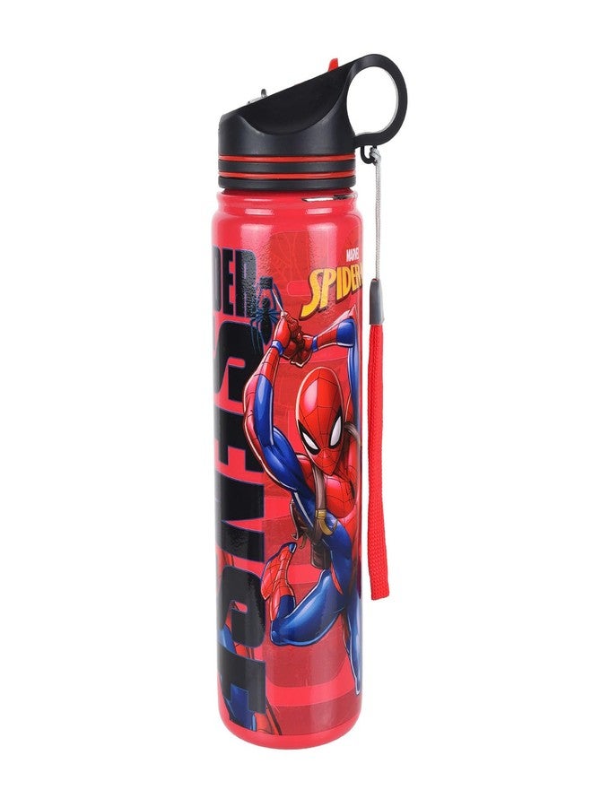 Comiclyfe Spider-Man Double Wall Stainless Steel Water Bottle with Straw – 500ml Insulated, Leak-Proof Flip Top Sipper | BPA-Free, Unbreakable Bottle for Kids & Adults - Image 4