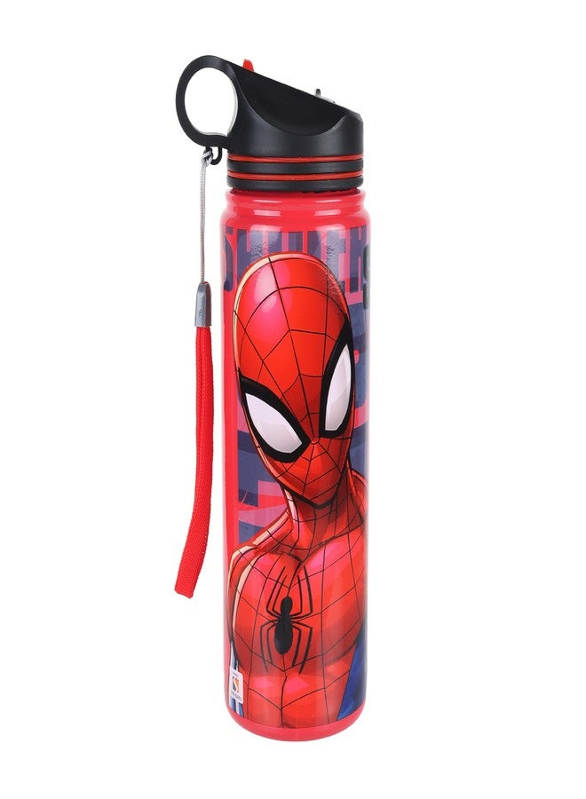 Comiclyfe Spider-Man Double Wall Stainless Steel Water Bottle with Straw – 500ml Insulated, Leak-Proof Flip Top Sipper | BPA-Free, Unbreakable Bottle for Kids & Adults - Image 1