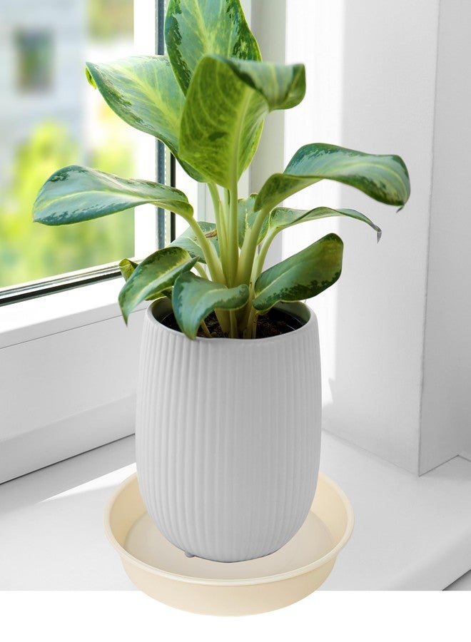 Bleuhome 6 Pack of 6 inch Plant Saucer Drainage Tray, 4 5 7 8 10 12 13 15 17 19 inch Plastic Plant Water Tray, Flower Saucers for Indoors, Plant Dishes for Pots Base (6 inch, Beige) - Image 4