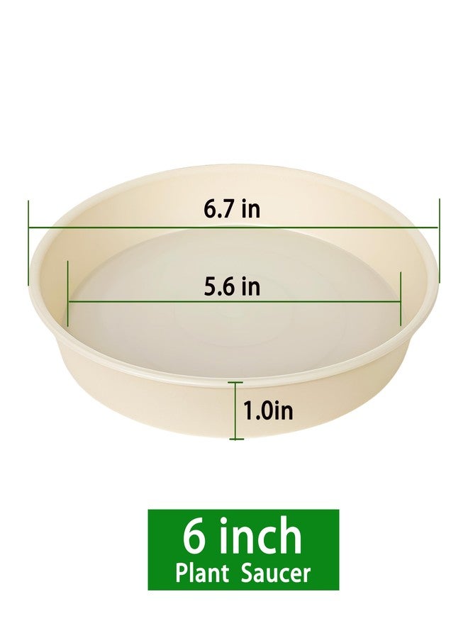 Bleuhome 6 Pack of 6 inch Plant Saucer Drainage Tray, 4 5 7 8 10 12 13 15 17 19 inch Plastic Plant Water Tray, Flower Saucers for Indoors, Plant Dishes for Pots Base (6 inch, Beige) - Image 2