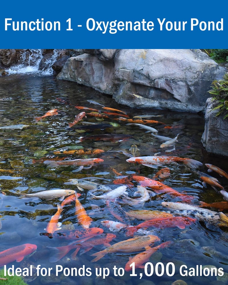 AquaMiracle All-in-One Koi Pond Aerator for Outdoor Ponds up to 1000 Gallons, Pond Air Pump Pond Aeration System with Double Outlet Airline Tubing Air Stones Check Valves - Image 5