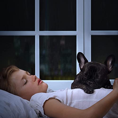 HOME13 Vinyl Sun Control Window Film for Home Privacy & Office Privacy Heat Insulation Anti-UV Office Home Glass Film (20in x 100in, Window Black Film)-Self-Adhesive - Image 2