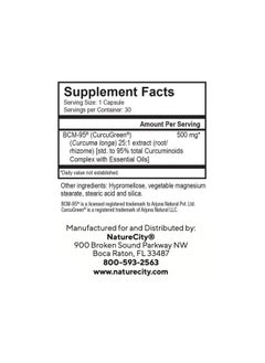 NatureCity True-Curcumin Turmeric Supplement | Non-GMO Tumeric and Curcumin 500mg Curcuma Capsules Vitamin Supplements | Up to 700% Increase in Absorption (60 Day Supply) | Supports Joints - pzsku/ZD86EEE3546FF72F199DCZ/45/_/1739883272/da5685df-2354-4f8f-93f3-a8977daeec89