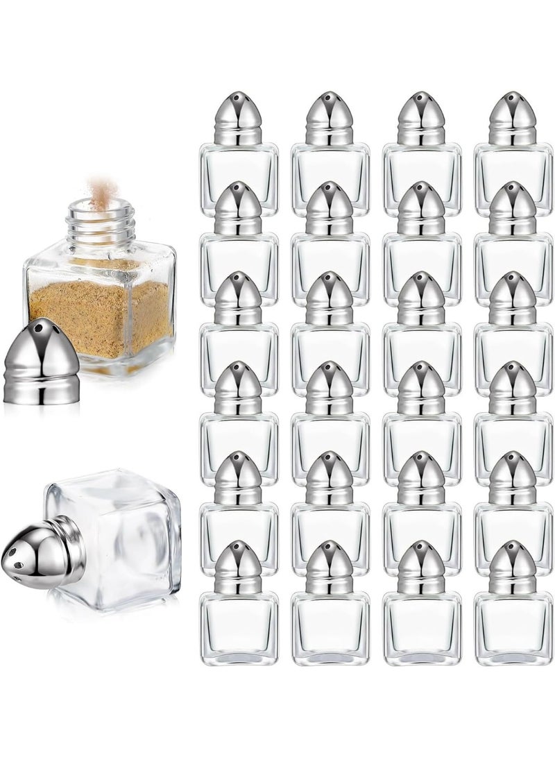 TYCOM Castor Salt and Pepper Shakers 24 packs Pocket Condiment Bottle Individual Seasonings Shakers Salt Container Holder Seasoning Holders Glass Pepper Jar Spice Jars Silver lids - Image 1