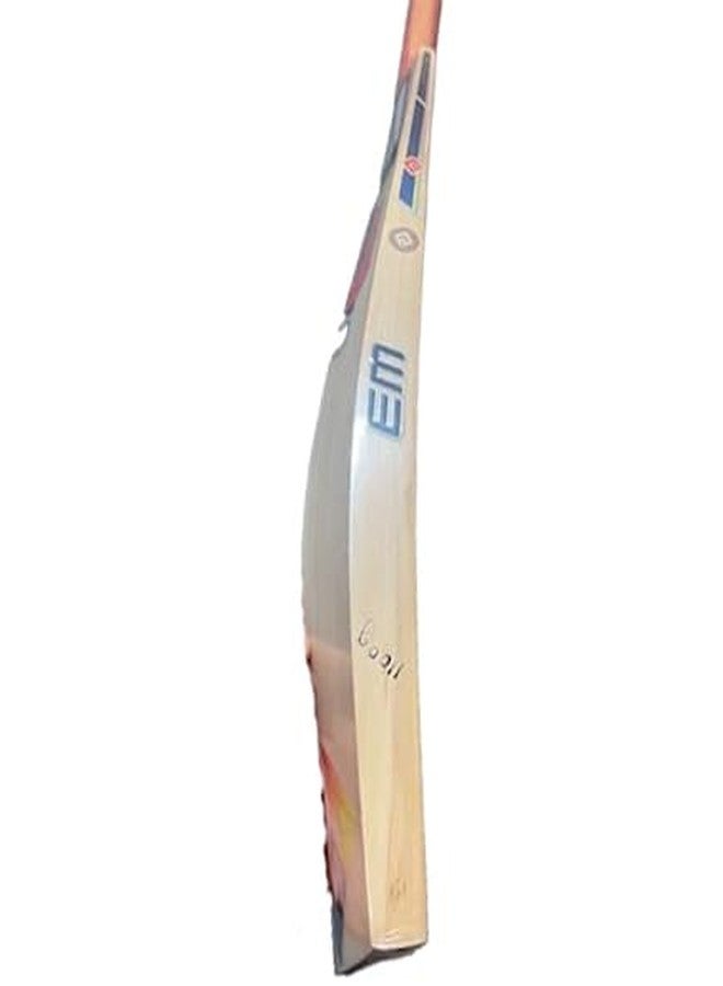 AASHRAY EM GT XR 7000 Kashmir Willow Season Cricket Bat (Size SH) - Image 4
