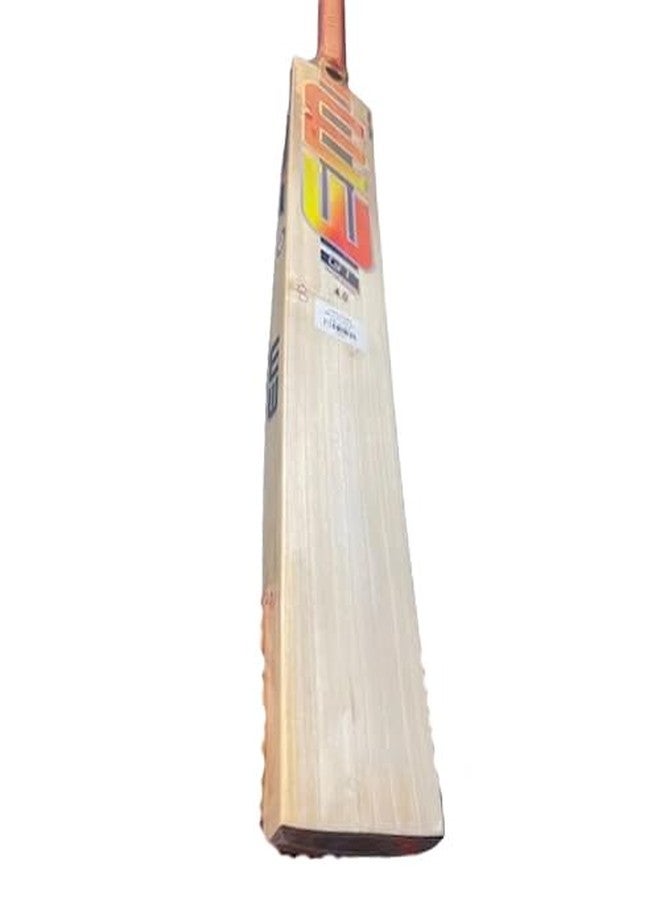 AASHRAY EM GT XR 7000 Kashmir Willow Season Cricket Bat (Size SH) - Image 2