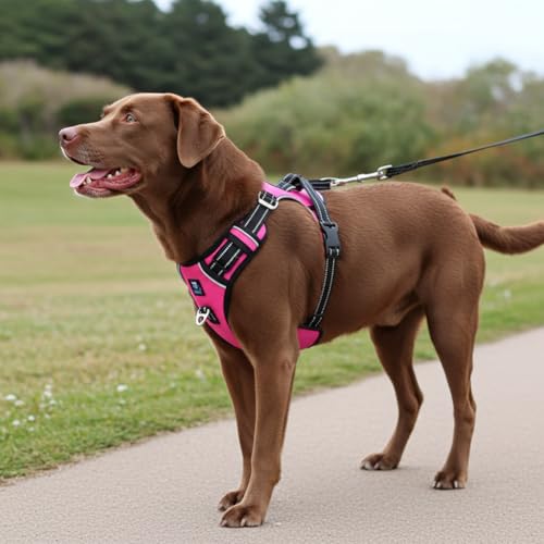 HANK Dog Body Harness - 3M Night Reflective - Oxford Fabric - 4 Adjustable Buckles - Chest (Min 27- Max 32" inches) (Large, Pink) - Image 3