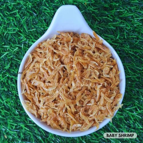 Bague Dried Small Size Shrimp Prawns for Aquarium Fish Food 200 Grams - Image 2