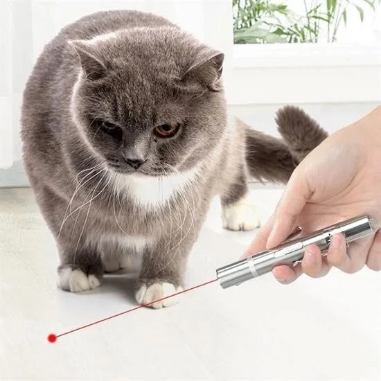 Lisinya USB Rechargeable 3 in 1 Red Light + White LED Torch Light + UV Flashlight Cat Laser