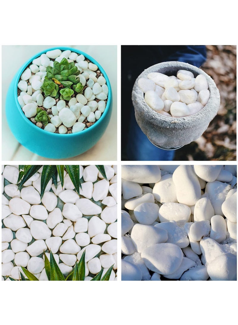 Home zone Unpolished White Pebbles 5 Lb (2.25KG) - 1 inch Pebbles for Plants Gardens Gravel Décor Landscaping Succulent Terrarium 100% Natural Stone Pebbles Decorative Rocks Matte White Finish  - Image 5