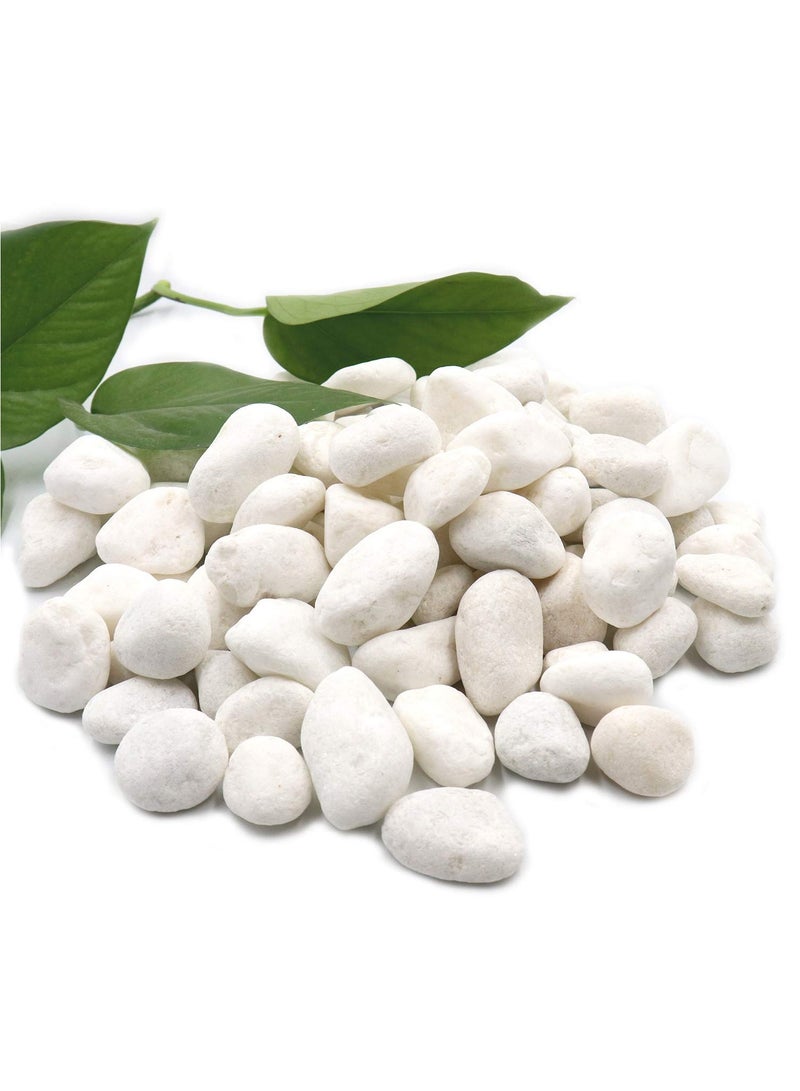 Home zone Unpolished White Pebbles 5 Lb (2.25KG) - 1 inch Pebbles for Plants Gardens Gravel Décor Landscaping Succulent Terrarium 100% Natural Stone Pebbles Decorative Rocks Matte White Finish  - Image 1