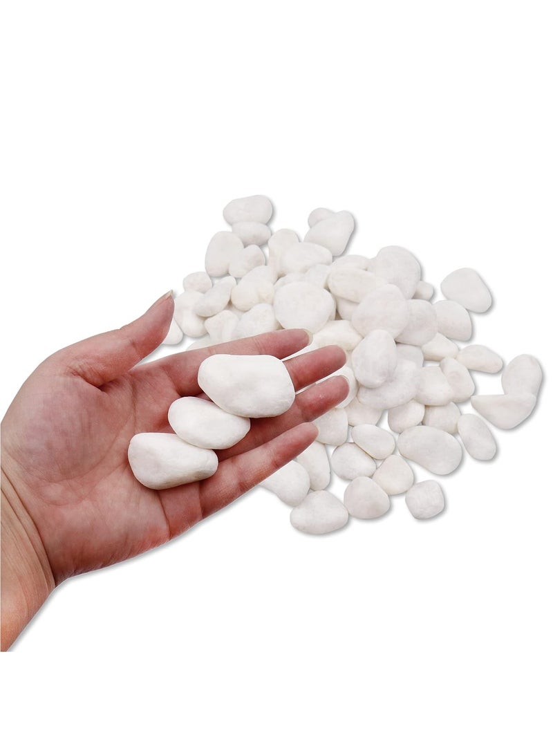 Home zone Unpolished White Pebbles 5 Lb (2.25KG) - 1 inch Pebbles for Plants Gardens Gravel Décor Landscaping Succulent Terrarium 100% Natural Stone Pebbles Decorative Rocks Matte White Finish  - Image 3