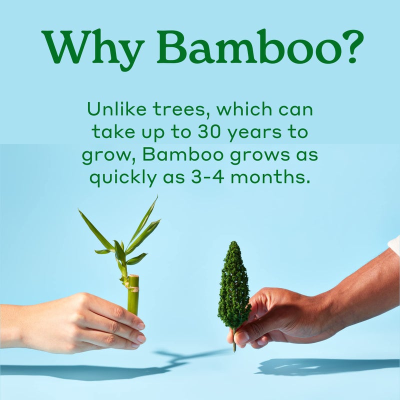 Caboo Tree Free Toilet Paper, Septic Safe Bath Tissue, Quick Dissolving 2 Ply Sheets - 300 Sheets Per Roll, 4 Double Rolls - Image 4