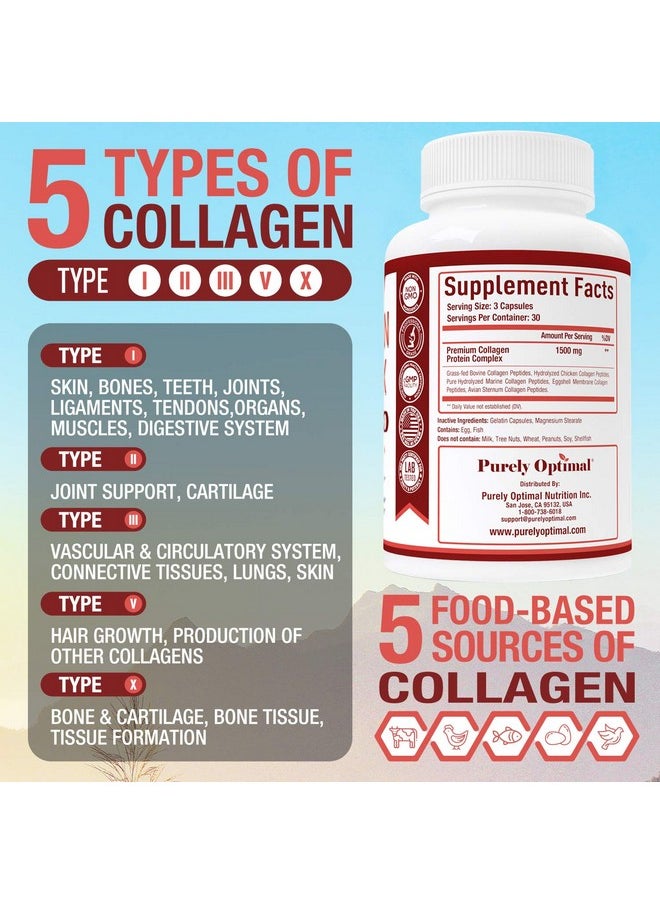 Purely Optimal - Premium Multi Collagen Peptides Capsules (Types I Ii Iii V X) Hair Skin And Nails Digestive & Joint Health Supplement Hydrolyzed Collagen Pills (90 Capsules) - Image 1