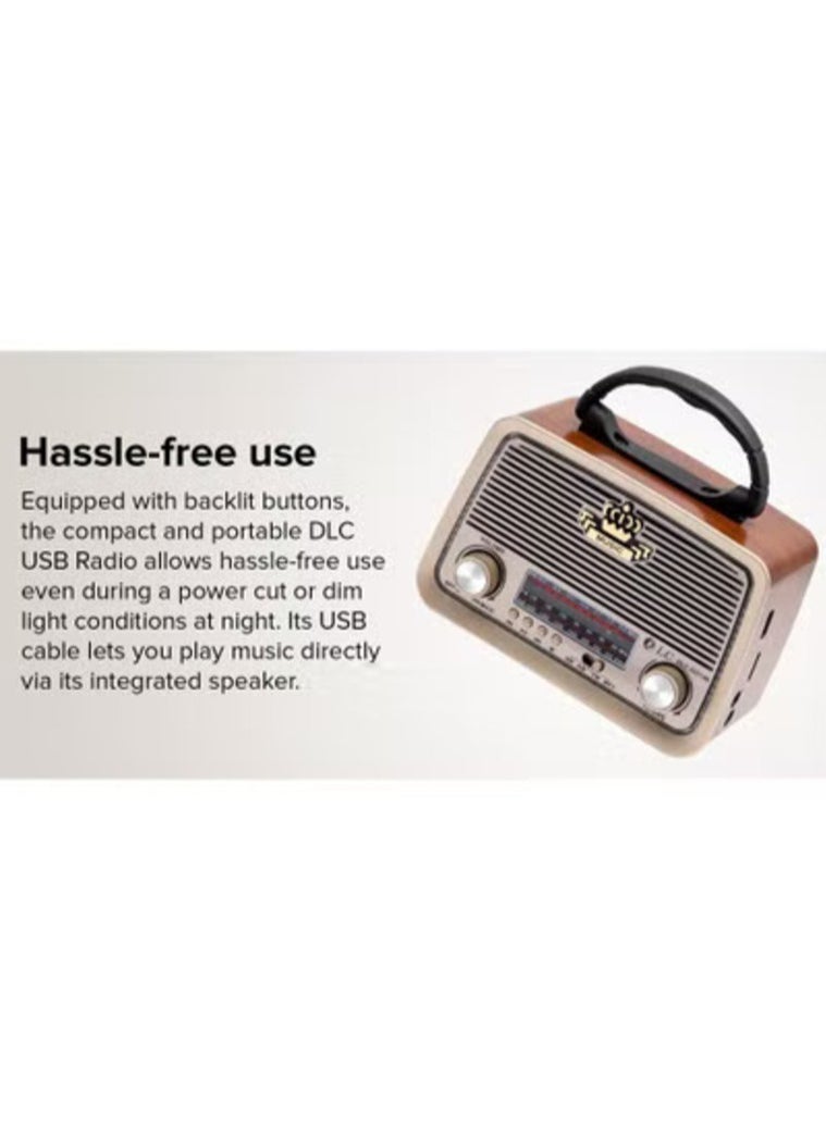 دينكس راديو HI-FI بثلاث قنوات FM - AM - SW بني خشبي يدعم البلوتوث ,AUX ,بطاقة TF وقرص فلاش USB  - Image 5