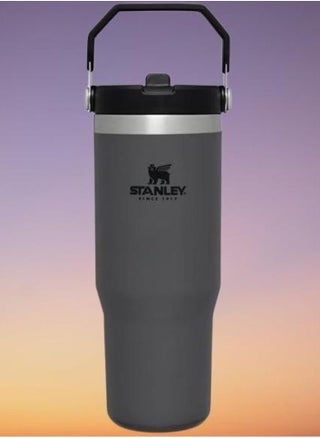 STANLEY IceFlow Flip Straw Water Bottle, 0.88L Vacuum Insulated, Leakproof & BPA-Free – Keeps Water Cold for 12 Hours – Easy-Carry, Dishwasher Safe Stainless Steel Travel Mug (Charcoal) - pzsku/ZD879602283DF276DEDBFZ/45/_/1739907525/b79309e9-be56-4f98-a3d6-56bd1254c71c