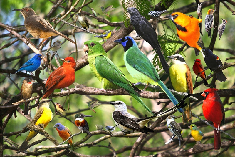 Beira 500 Pieces Of Adult Jigsaw Puzzle Landscape City Oil Painting Animal Children'S Toy Jigsaw Puzzle Overseas Supply - Image 1