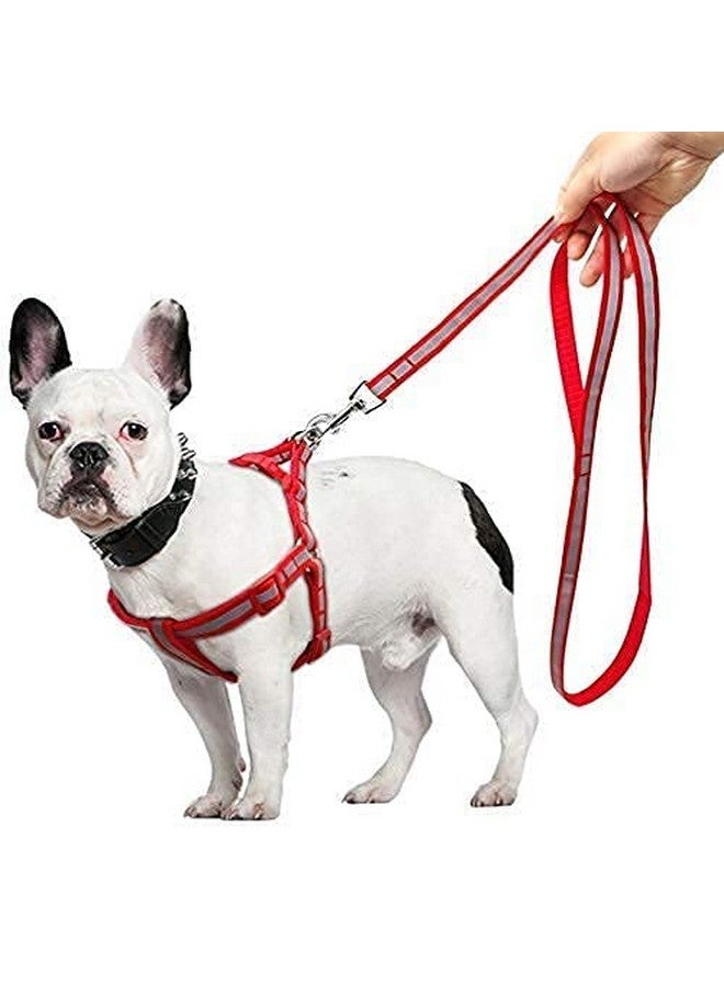 مجموعة حزام ومقود للكلاب بنمط شريط نايلون 15 مم من الراديوم/العاكس، مثالية للجراء والكلاب من السلالات الصغيرة (أحمر) - Image 1