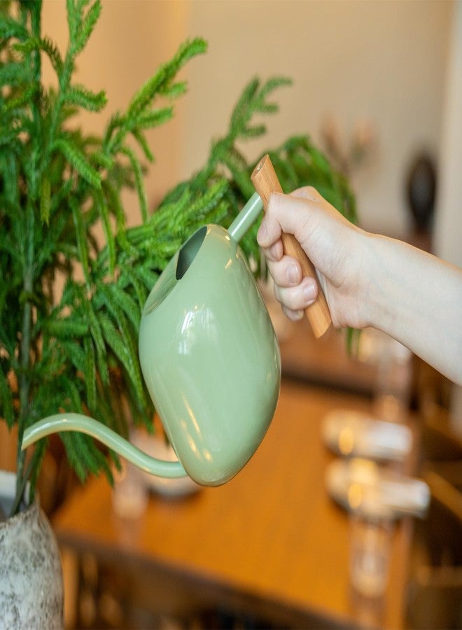 Green Moon Watering Can Indoor Plants 1.2L/41oz Sage Green Water Can Indoor Metal Small Water Can Pot with Long Spout for House Bonsai Plants Garden Flower Decorative - Image 4