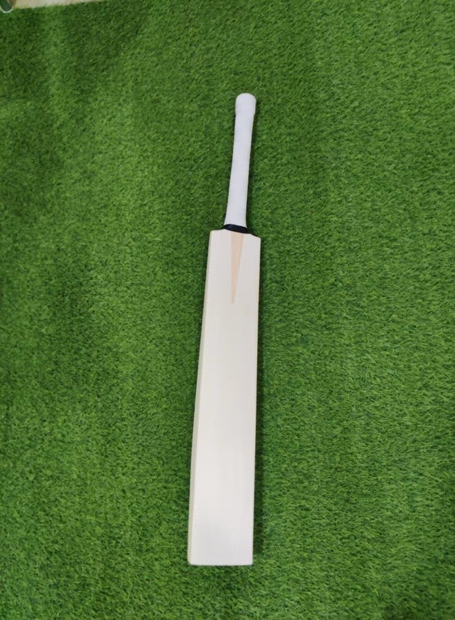 SAG Plan English Willow Leather Bat with Big Edge & Light Weight. Full Size (English BAT) - Image 1