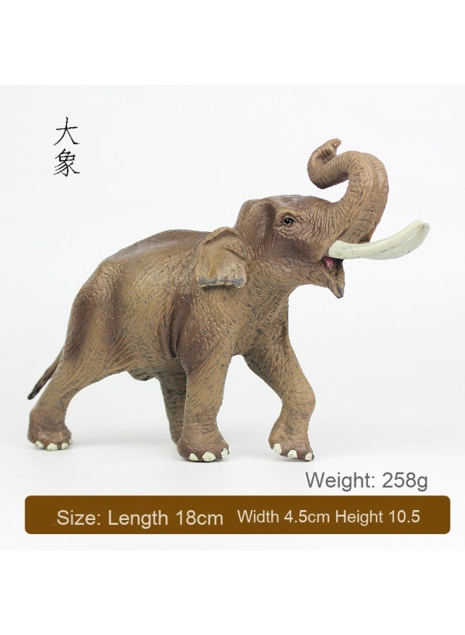NIBEMINENT Realistic Wild Animal Park Model: African and Asian Elephant Figurines