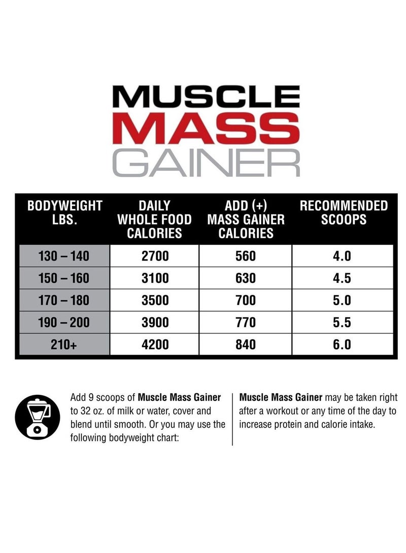 LABRADA Muscle Mass Gainer Protein Powder Supplement Chocolate Flavor 12Lb - Image 2