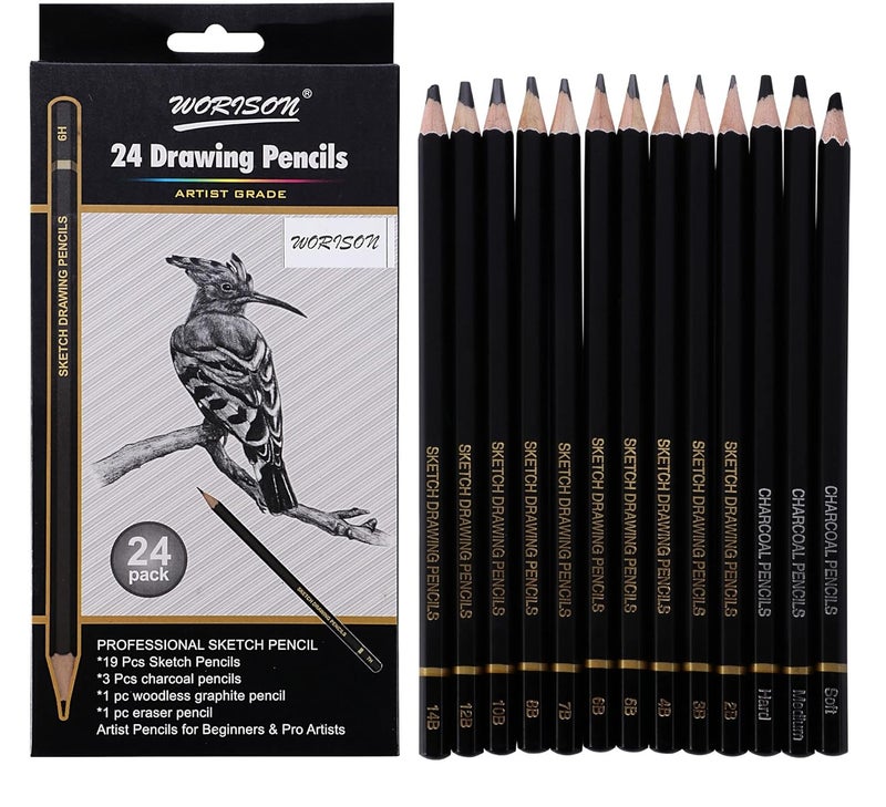 worison Drawing And Sketching Pencils 24 Pencil Set of 19 sketch pencils 3 charcoal pencils 1 graphite pencil and 1 eraser pencil - Image 1