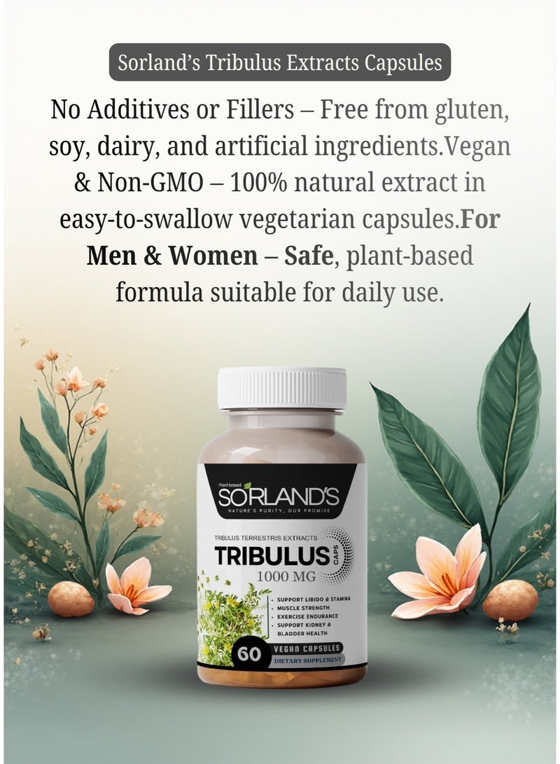 Sorland's Tribulus Terrestris — 60 vegan capsules, 100% pure, non-GMO, free of additives, fillers, and preservatives,energy, endurance, recovery, vitality, stamina, immunity, and overall wellness. - Image 2