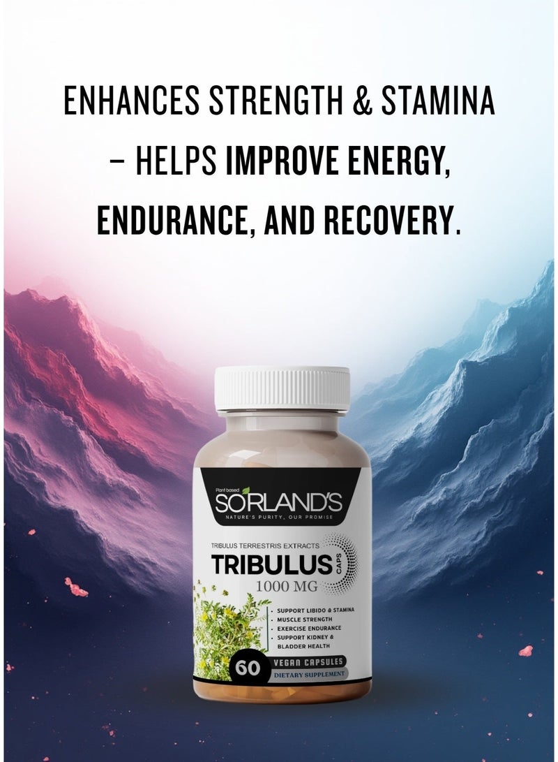 Sorland's Tribulus Terrestris — 60 vegan capsules, 100% pure, non-GMO, free of additives, fillers, and preservatives,energy, endurance, recovery, vitality, stamina, immunity, and overall wellness. - Image 5