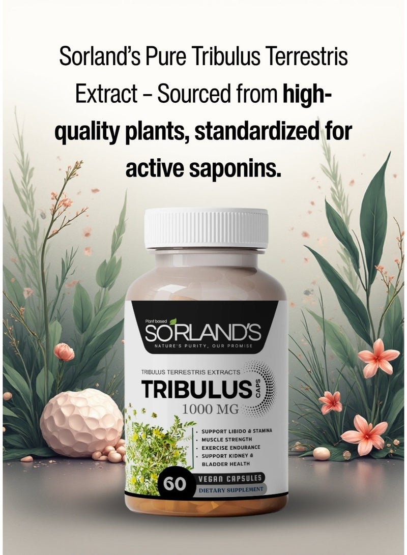 Sorland's Tribulus Terrestris — 60 vegan capsules, 100% pure, non-GMO, free of additives, fillers, and preservatives,energy, endurance, recovery, vitality, stamina, immunity, and overall wellness. - Image 4