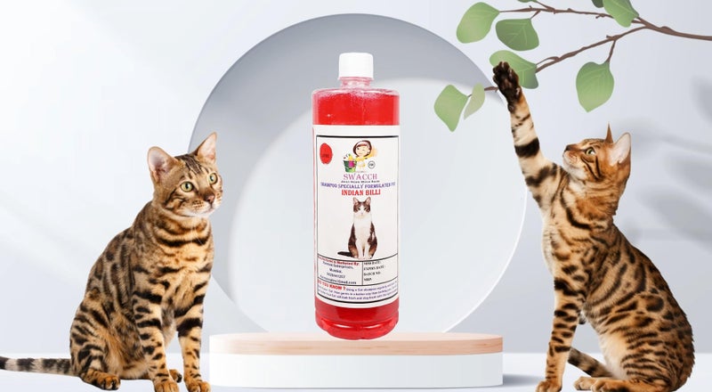 Swacch Shampoo Specially Formulated for Indian Billi (1 Litre) Jasmine - Image 1