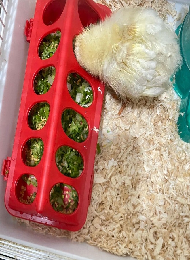 Oncpcare 2 Pack Plastic Flip-Top Poultry Feeder Tray, Chick Feeding Trough for Baby Chicken, Ducklings, Quail, Pigeons and Small Birds - Spill-Resistant Farm Feeder - Image 5