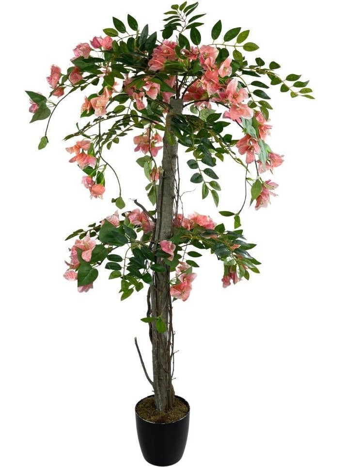 Nettenevime Artificial Tree Pink Bougainvillea Tree 120CM with Natural Salex Branches - pzsku/ZD8807239B80811D20DDFZ/45/_/1725725069/3b4261ce-2fd5-4592-b6ae-6d6e9b470daf