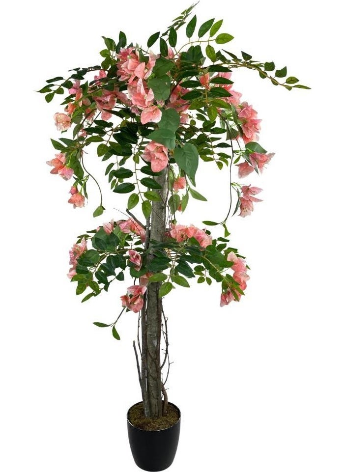 Nettenevime Artificial Tree Pink Bougainvillea Tree 120CM with Natural Salex Branches - pzsku/ZD8807239B80811D20DDFZ/45/_/1728062167/f1b950a6-1e62-4f76-91c0-e22c09c84acb