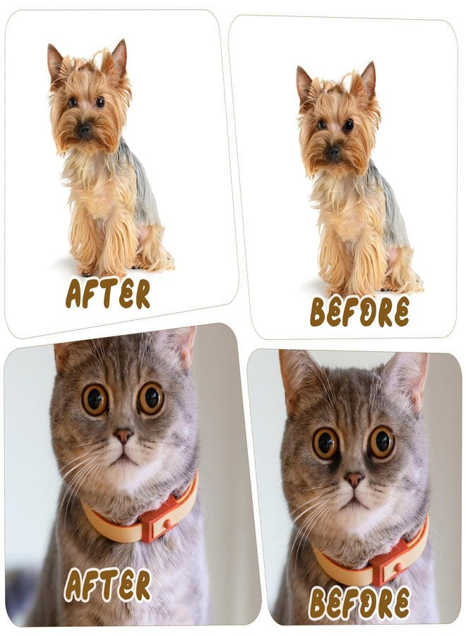 Xyembu 4 Pcs Dog Eye Brush, Pets Grooming Brush, Tear Stain Remover Brushes Washable Fiber, Ergonomic Handle, Long Tapered Bristles for Dogs, Cats, Small Pet Tear Stain Remover - Image 5