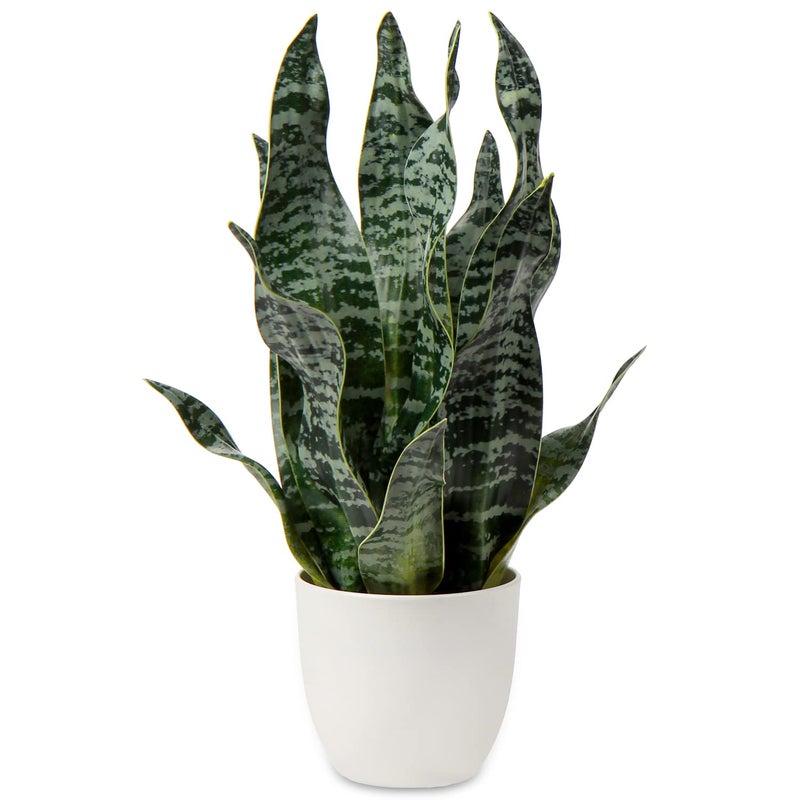 Hollyone Artificial Snake Plant Potted Faux Sansevieria Trifasciata Plants 165 Tropical Fake Plants in White Pots for Home Office Desk Outdoor Dcor Housewarming Gift