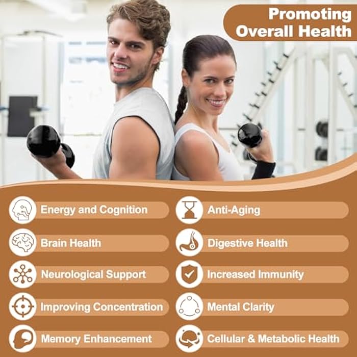 OMOGS Mushroom Complex Supplement Capsules 10:1 Extract, Lions Mane Supplement with Cordyceps, Reishi, for Brain Health, Memory Support, Focus & Immune System - Image 4