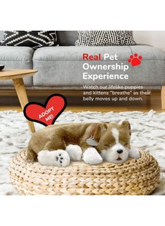 Perfect Petzzz Original Petzzz Pit Bull Realistic, Lifelike Stuffed Interactive Pet Toy, Companion Pet Dog with 100% Handcrafted Synthetic Fur  - Image 5