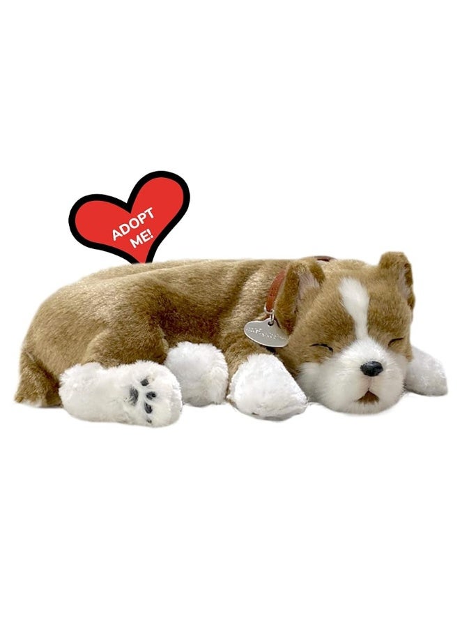 Perfect Petzzz Original Petzzz Pit Bull Realistic, Lifelike Stuffed Interactive Pet Toy, Companion Pet Dog with 100% Handcrafted Synthetic Fur - Image 1