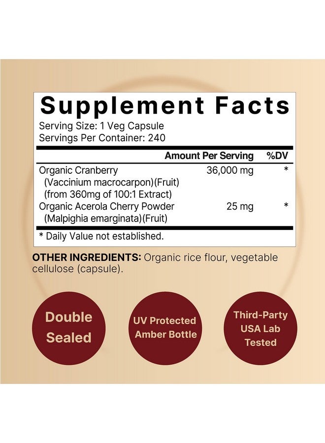 NatureBell عبوة 2 من حبوب التوت البري 36,000 ملغ مع أكيرولا 480 كبسولة نباتية؛ 100:1 مستخلص التوت البري الطازج مكونات عضوية تدعم صحة المسالك البولية خالية من السكر - Image 3