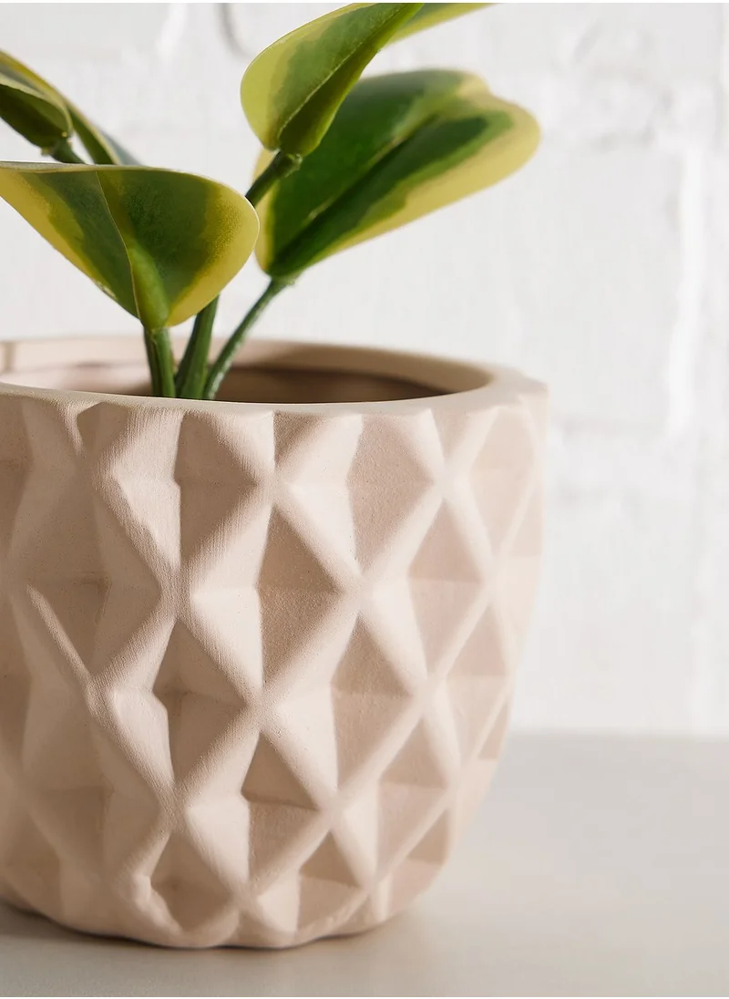 AURORA POT