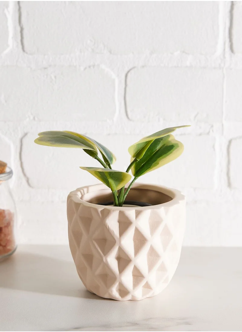 AURORA POT
