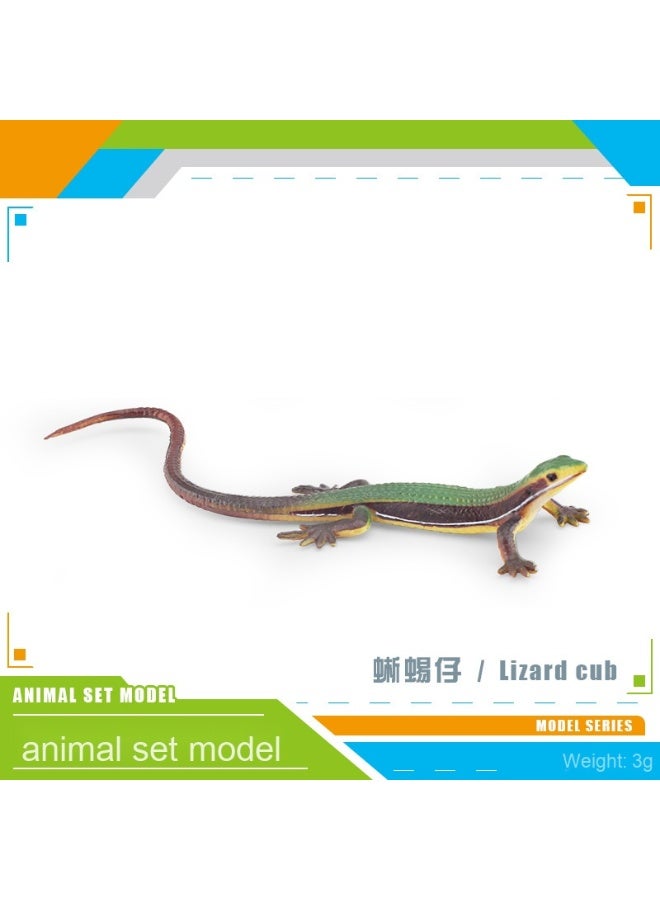 NIBEMINENT Realistic Amphibious Reptile Model - Unique Static Decorative Figurine