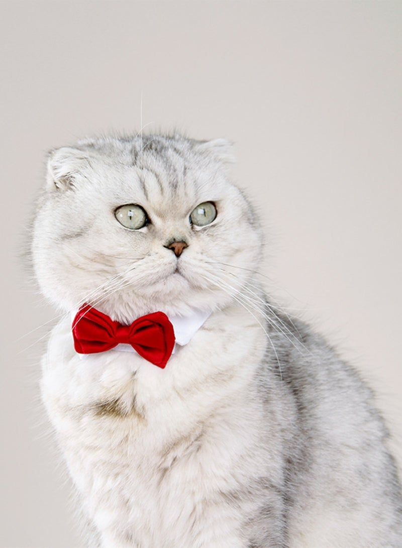 Pet Bow Tie Collar for Cats & Dogs, Red, L - Image 4