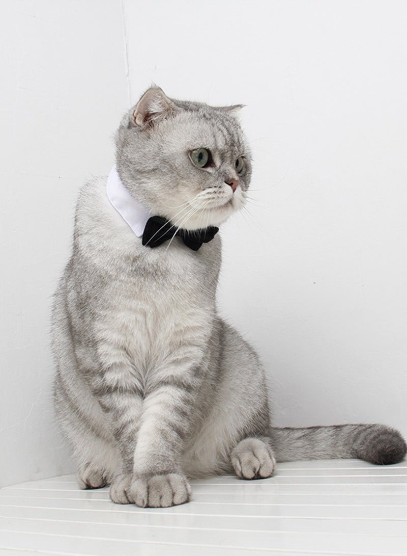 Pet Bow Tie Collar for Cats & Dogs, Red, L - Image 5