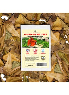 SunGrow 50 Pcs Betta Fin Rot Treatment Catappa Indian Almond Leaves, 2", Betta Water Conditioner Leaves For Fish Tank Aquarium, Leaf Create Realistic Blackwater River Habitat, Reduce Stress & Lower Ph  - Image 2
