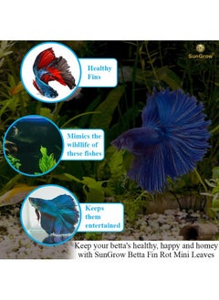 SunGrow 50 Pcs Betta Fin Rot Treatment Catappa Indian Almond Leaves, 2", Betta Water Conditioner Leaves For Fish Tank Aquarium, Leaf Create Realistic Blackwater River Habitat, Reduce Stress & Lower Ph  - Image 5