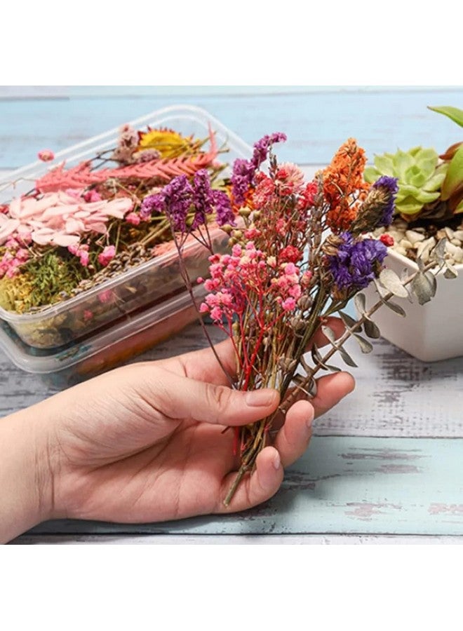 VRB DecTM 2 صندوق زهور طبيعية مجففة حقيقية لفن الحرف اليدوية / مجموعة فن الراتنج - مختلطة ومتعددة الألوان للصابون، الشموع الاصطناعية، دفاتر القصاصات، افعلها بنفسك، صينية الراتنج للمجوهرات، قلادة (2 صندوق - متعددة الألوان) - Image 4